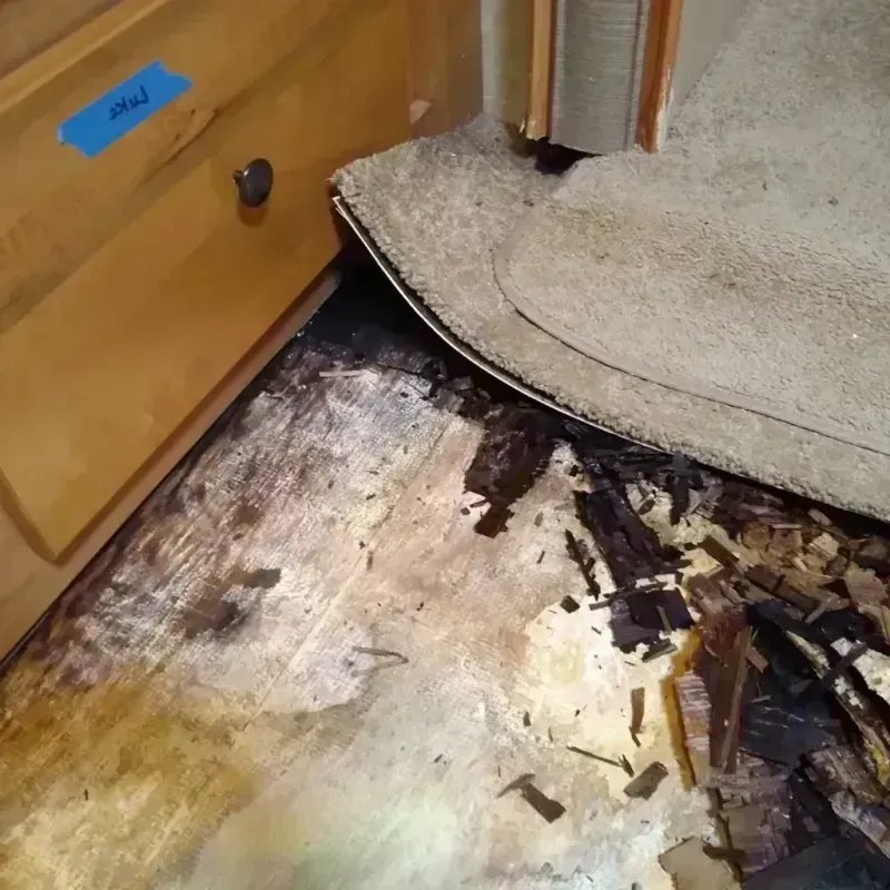 Best Wood Floor Water Damage Service in Ann Arbor, MI